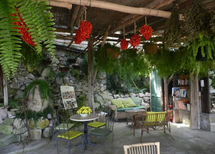 La villa: Agriturismo Fattoria Terranova