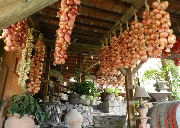 La villa: Agriturismo Fattoria Terranova