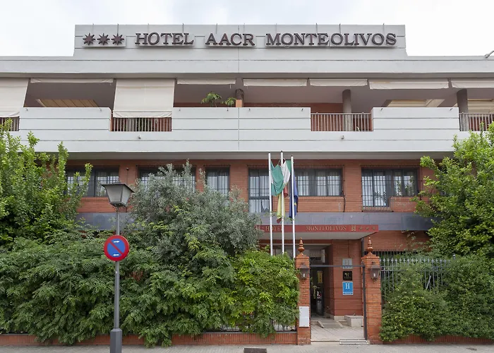 Hotel barato: AACR Hotel Monteolivos