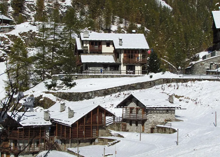 Hotel adatto agli animali: Il Piccolo Residence