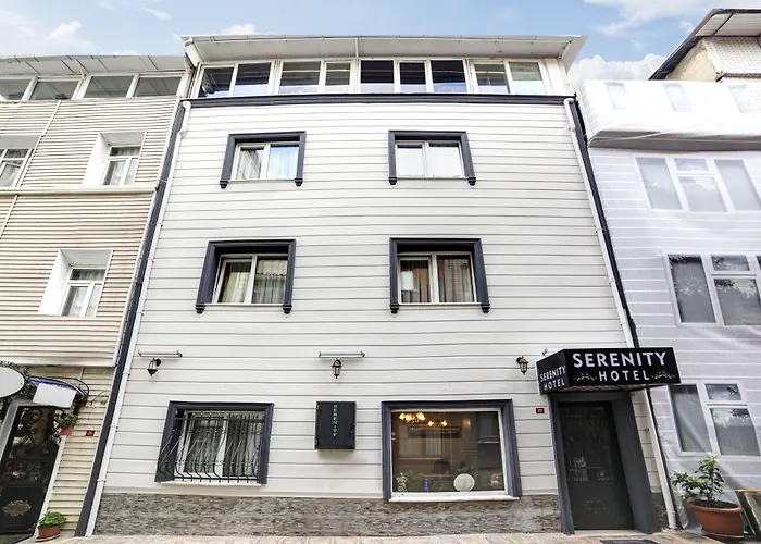 Central hotel: Serenity Boutique Hotel Istanbul