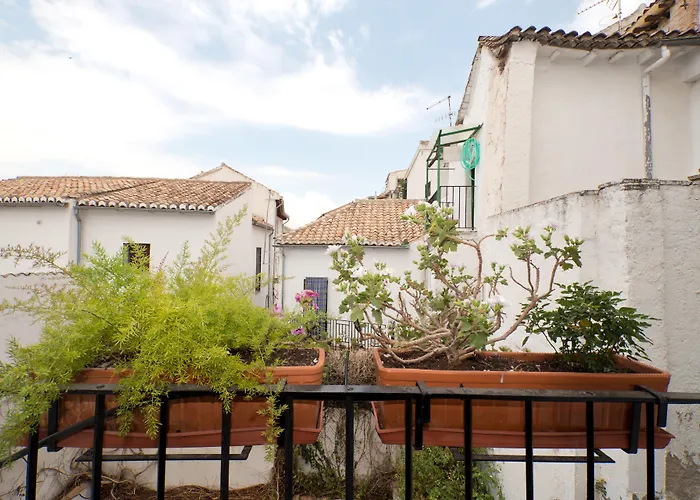 The Hostels Oasis Backpackers' Granada