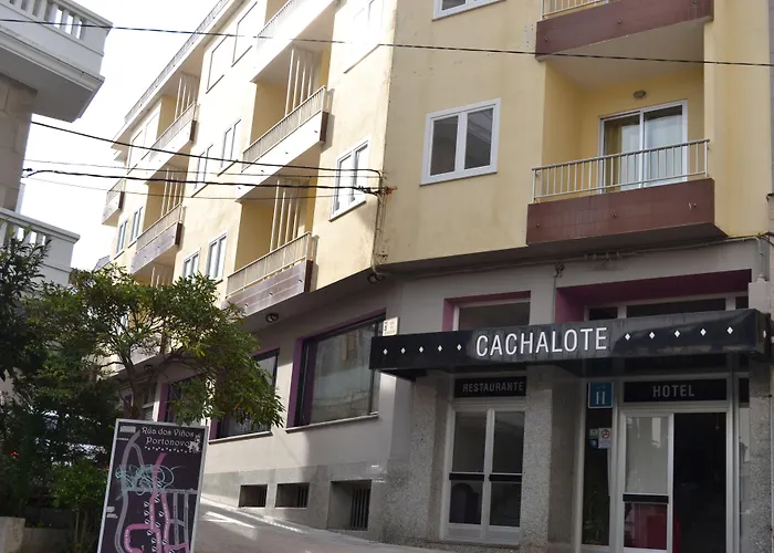  Nuevo Cachalote