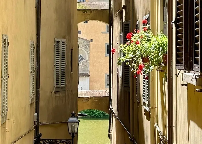  Cestelli