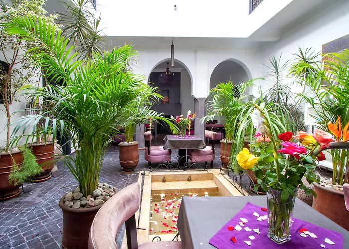 Luxury hotel only: Ryad Amiran & Spa