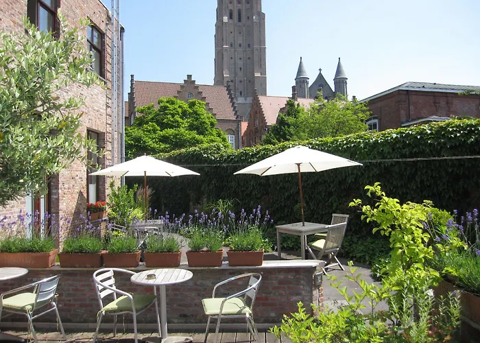Appartement: Bonobo Apartments