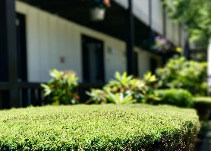 Kenny'S Tipperary Inn