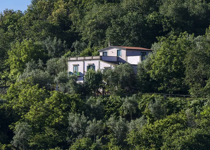  Il Casale