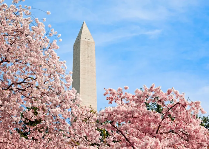 3-Sterne-Hotel: Hyatt Place Washington Dc/White House