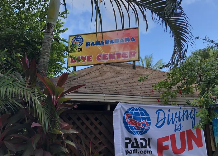 Beach hotel: Bananarama Dive & Beach Resort
