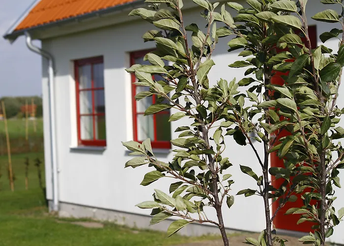 Hotel: Hobykrok B&B