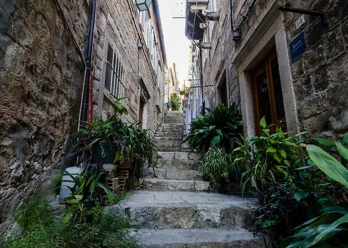 Vacation rental: Apartments Minerva