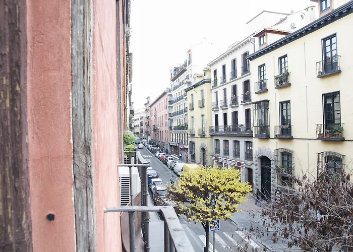 Hôtel accueillant les animaux: Way Hostel Madrid