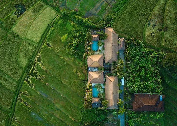 Pet Friendly hotel: The Zala Villa