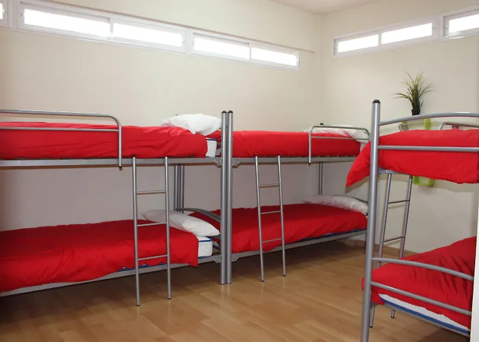 Animaux admis Bilbao Central Rooms
