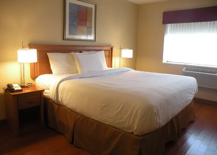Hôtel 3 étoiles: Hotel Newstar Montréal