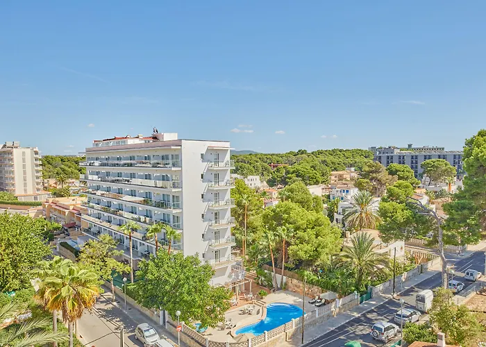 Hôtel accueillant les animaux: Apartamentos Ben-Hur