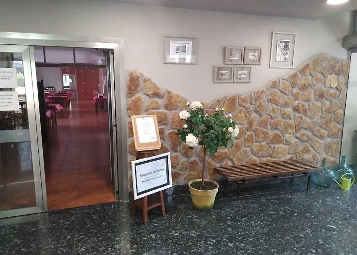 Hotel que admite mascotas: Balneario Casa Pallotti