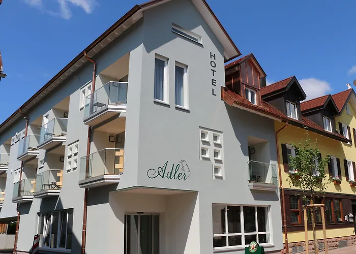 Haustierfreundliches Hotel: Hotel Adler
