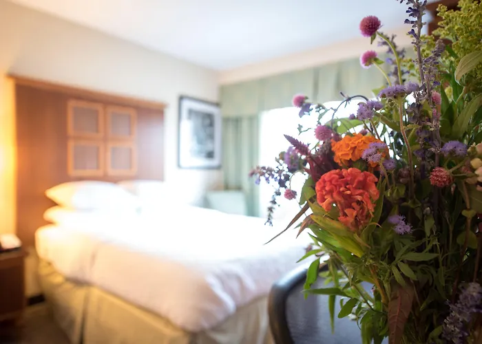 Goedkoop hotel: Soho 54