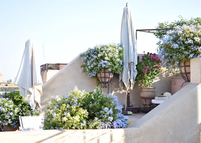 Hotel de playa: Riad Abracadabra