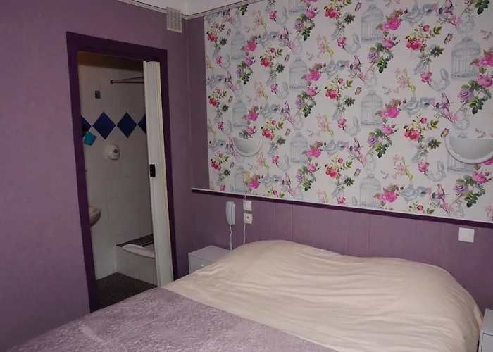 Hotel Le Richelieu Le Boulou
