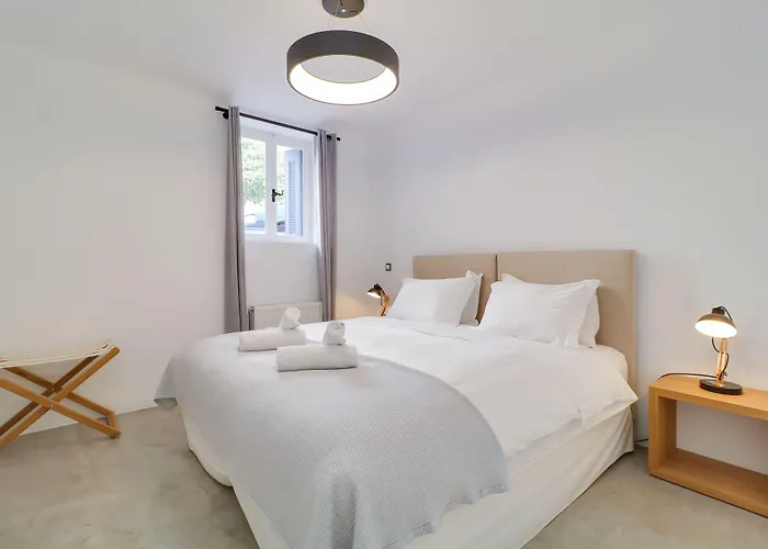 Pets Allowed Hotel Athens Residence s