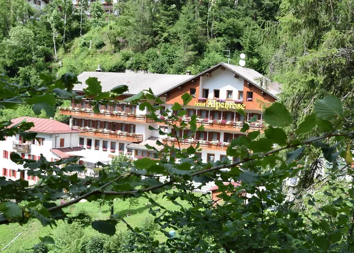 Hotel Spa: Hotel Alpenrose
