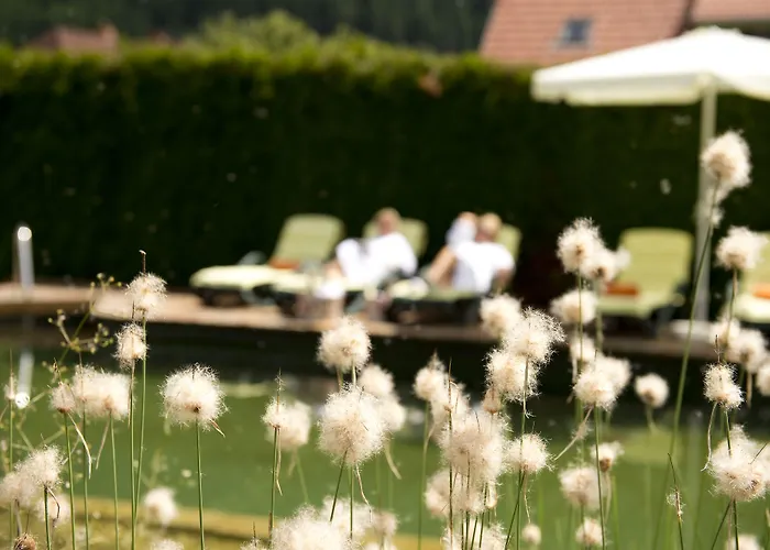 Hotel Rosenhof Murau