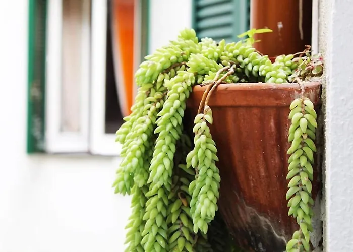 Terrazza dei Principi