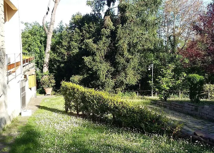 L'ulivo Chiantigiana 115