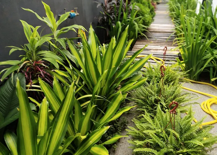 Beds In Garden