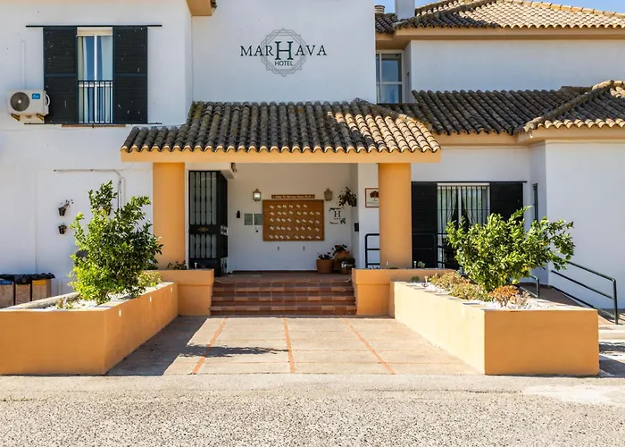 Perros hoteles Marhava