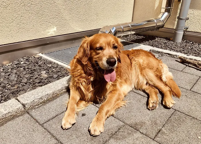 4-Sterne-Hotel: Hotel&Gasthof Löwen