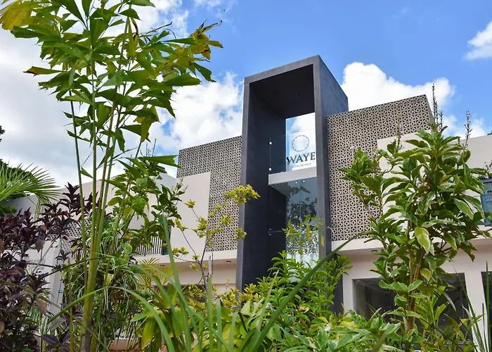 Hotel cerca del colegio: Waye Valladolid Centro - Sustainable, Authentic Experiences&Pet Friendly Boutique Hotel