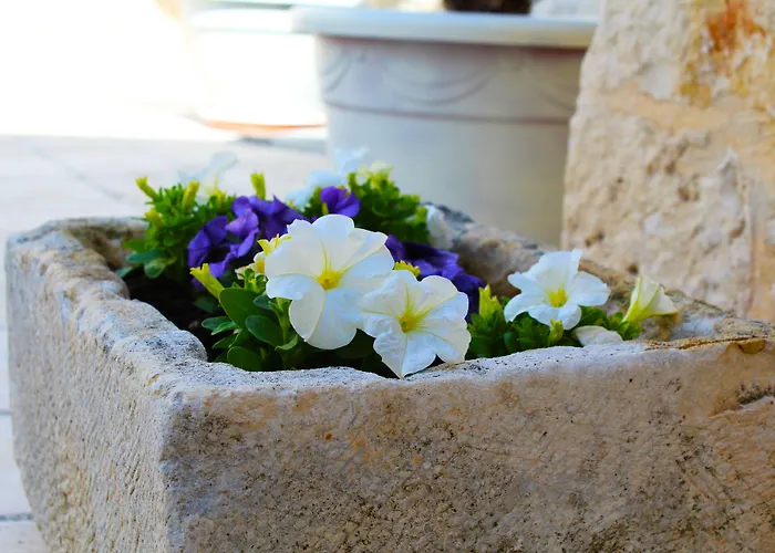  Trulli Antica Fonte