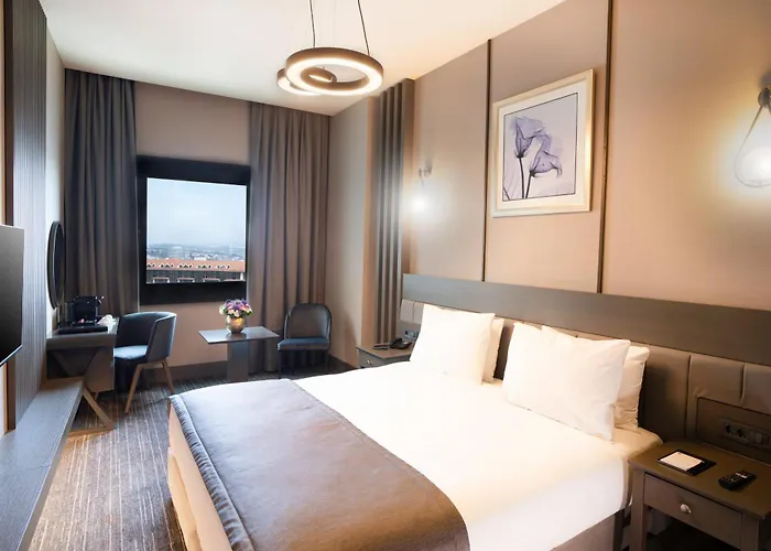 Hotel met zwembad: Arts Hotel Taksim