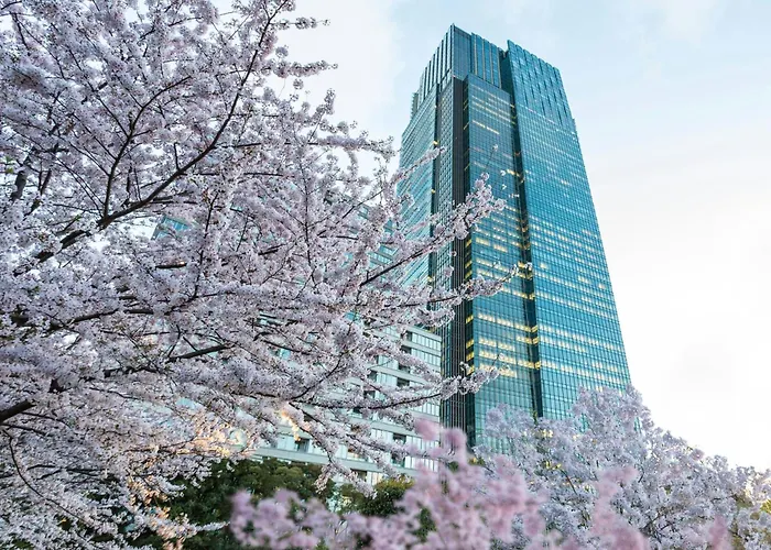Hotel Jacuzzi: The Ritz-Carlton, Tokyo