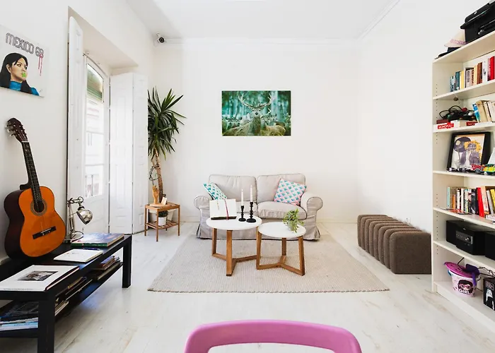 Pet Friendly hotel: Hostal Boutique Vidamia