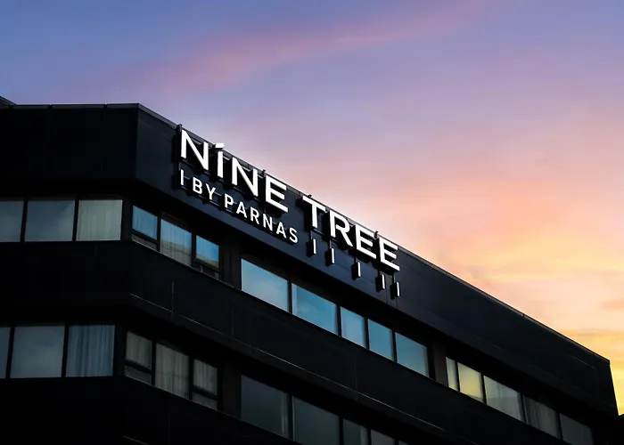 Nine Tree By Parnas Seoul Myeongdong 1