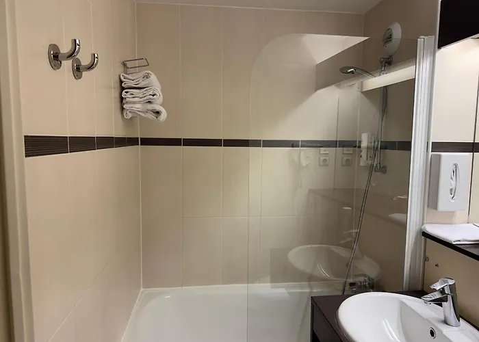 Hôtel accueillant les animaux: Comfort Hotel Orleans Saran