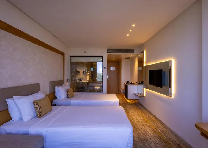 5 star hotel: Sayaji Vadodara