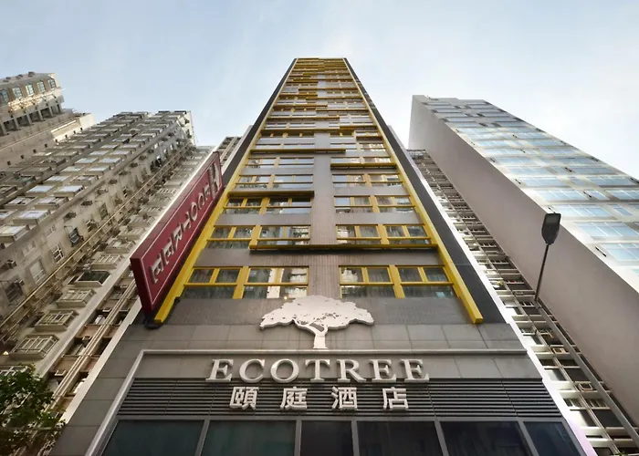  Eco Tree Causeway Bay