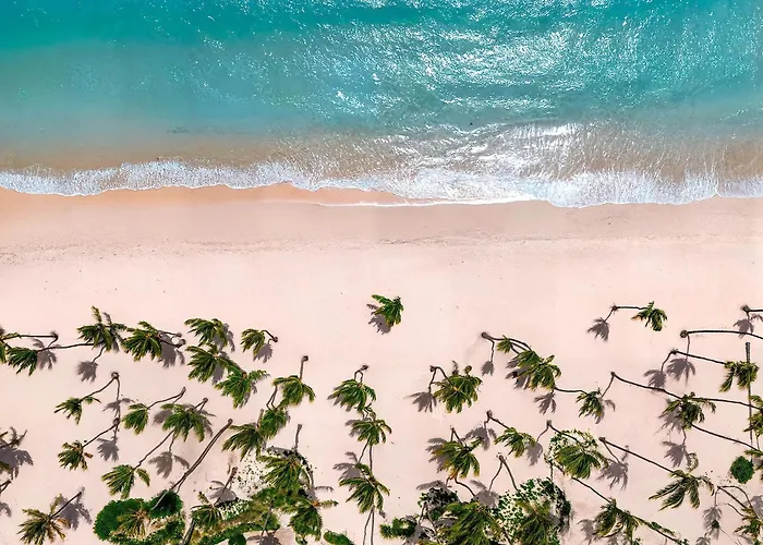 Hyatt Vivid - Adults-Only All-Inclusive