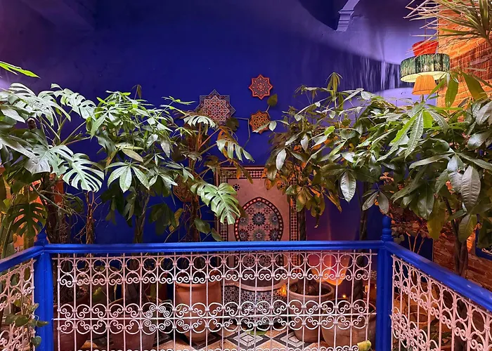 Casa Amina