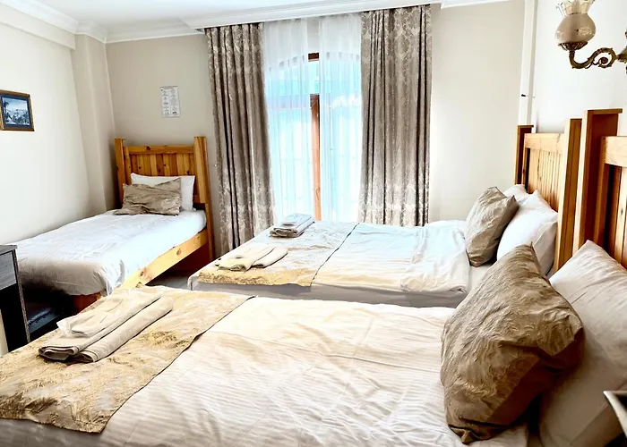 Hôtel de luxe: Magnificent Hotel