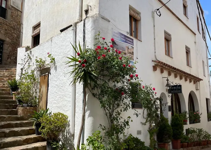 Casa de huéspedes: P&R Hostals Codolar