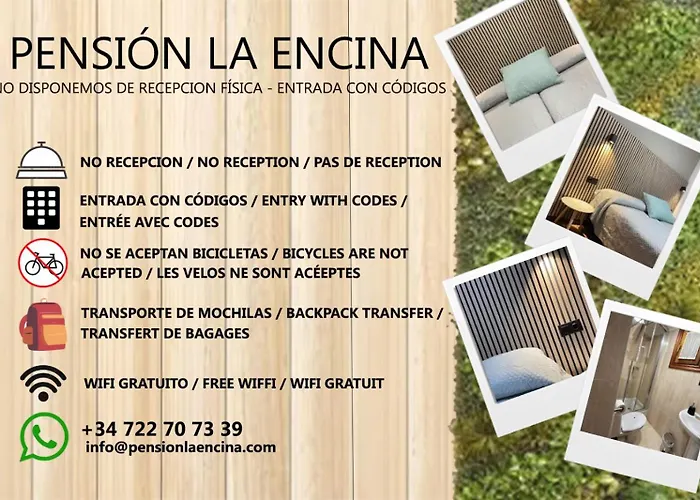 Hotel que admite mascotas: Pensión Miguel