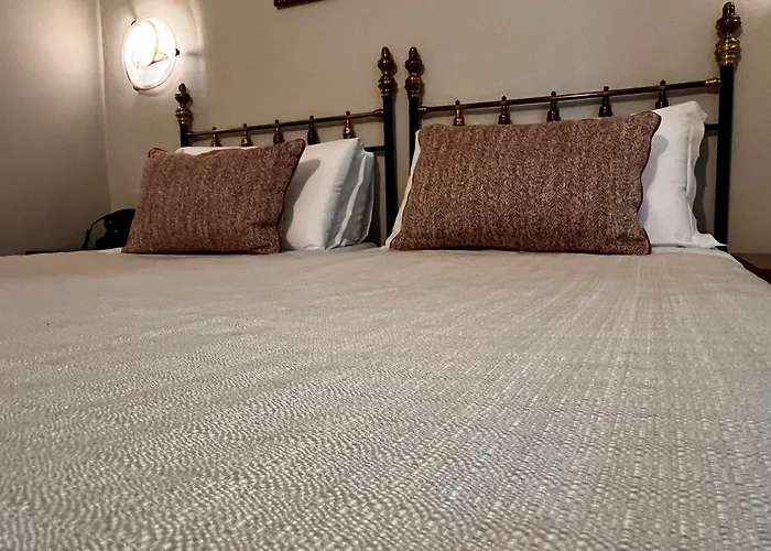 Hôtel accueillant les animaux: Hotel Nizza