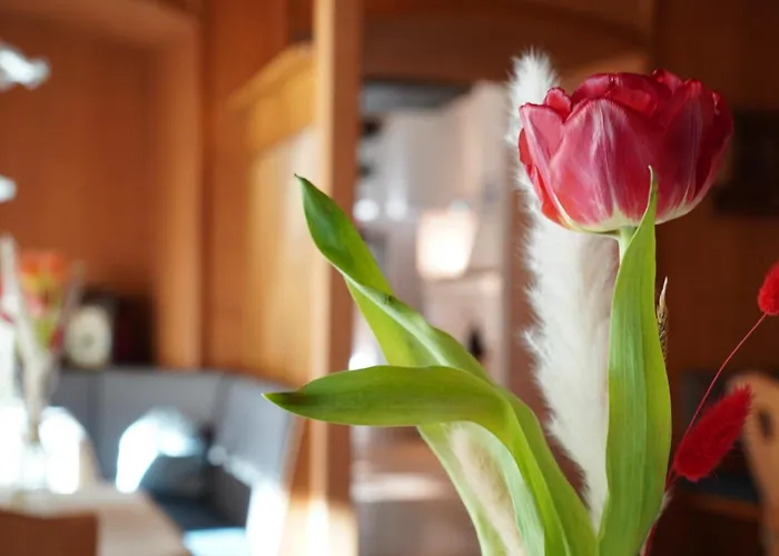 Hotel 4 stelle: Historic Guesthouse Bircher B&B Apartments Near Sterzing